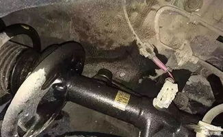 汽车减震升高多少合适